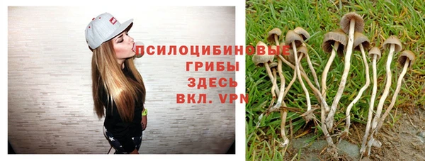 apvp Магас